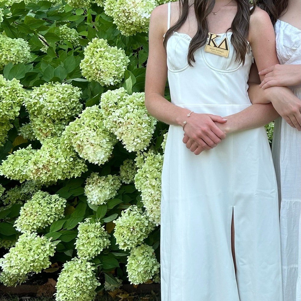 French Connection Echo Ruffle Midi Dress - Picture 3 of 3